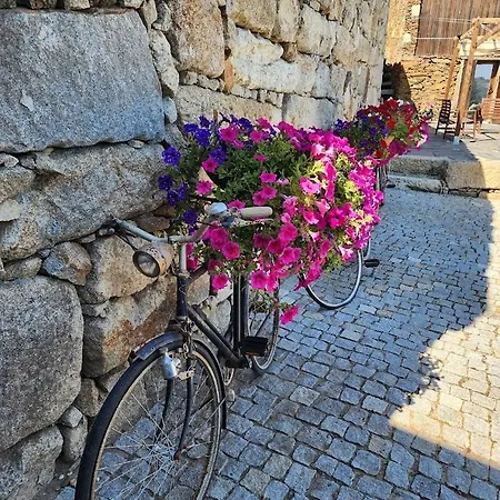 Espigueiro Da Casada Rural - Foz Do Douro By Lw Villa