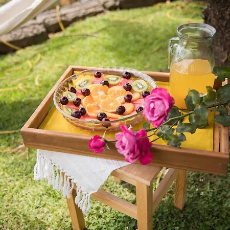 Espigueiro Da Casada Rural - Foz Do Douro By Lw *