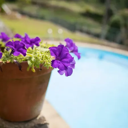 Espigueiro Da Casada Rural - Foz Do Douro By Lw Villa *