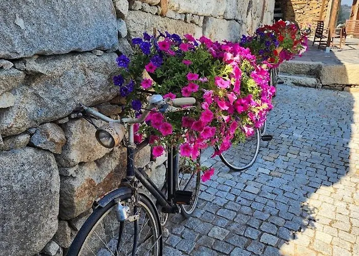 Espigueiro Da Casada Rural - Foz Do Douro By Lw Villa