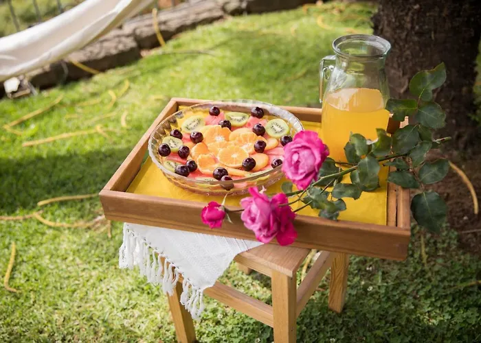 Espigueiro Da Casada Rural - Foz Do Douro By Lw *