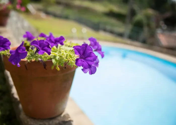 Espigueiro Da Casada Rural - Foz Do Douro By Lw Villa *